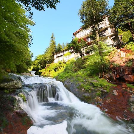 Yama No Yado Meiji Onsen Чино Екстериор снимка